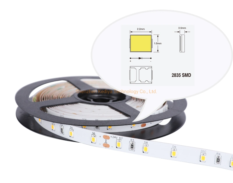 Factory Wholesale Bulkbuy IP20 Multicolor TV Backlight Cabinet DC24V 12V Decoration Lighting Flexible SMD2835 300 Shenzhen LED Strip Light